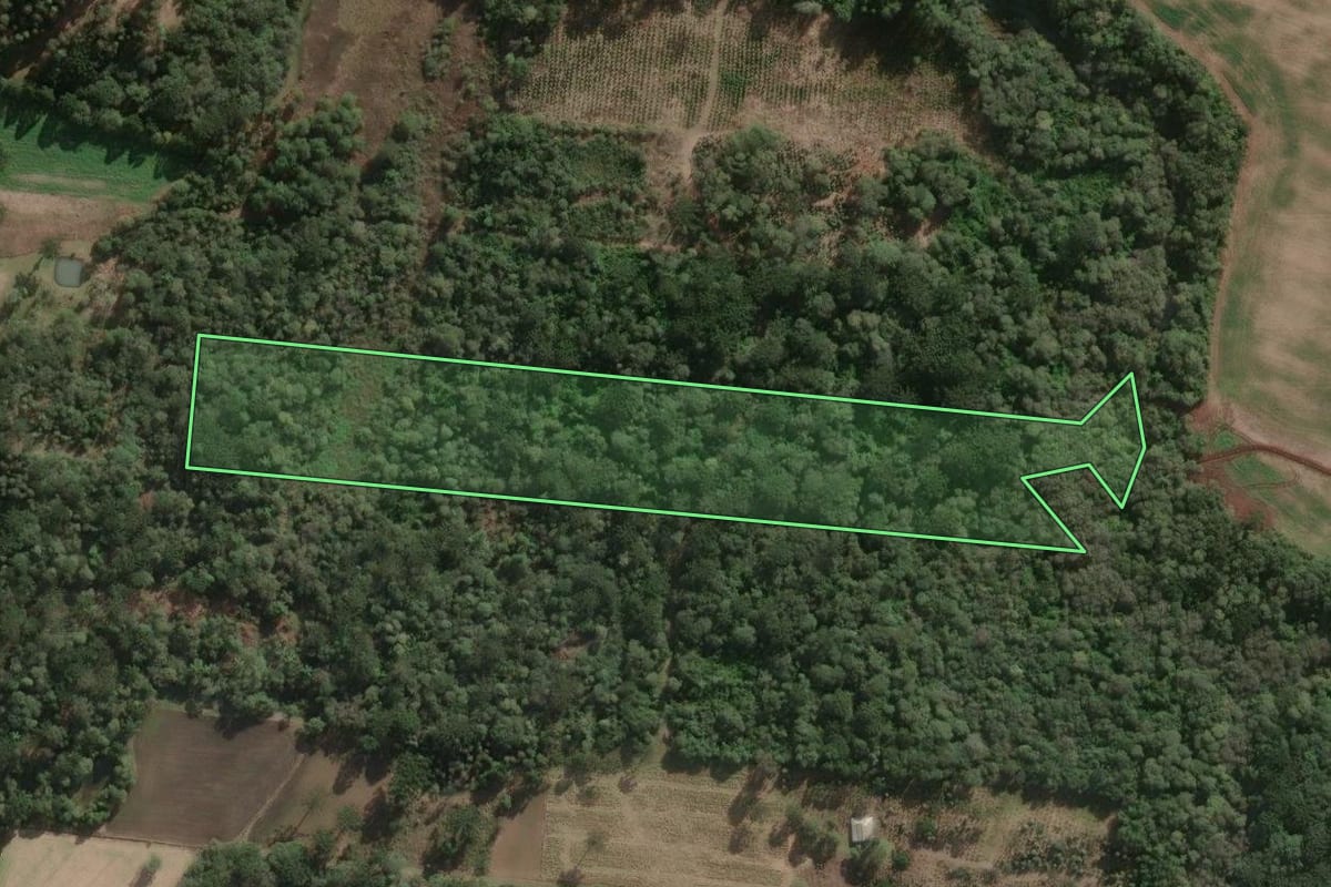 Imagem de satélite do imóvel rural em Três Barras (SC), com o contorno declarado no CAR desenhado por cima.