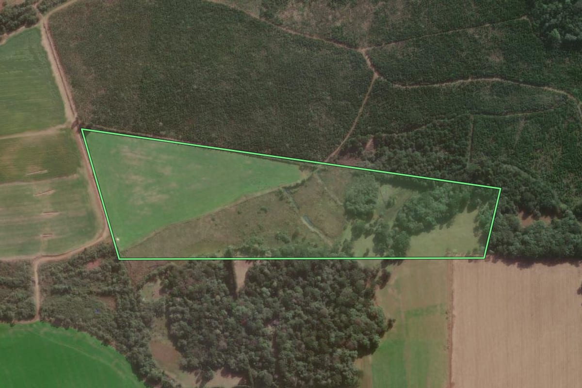 Imagem de satélite do imóvel rural em Três Barras (SC), com o contorno declarado no CAR desenhado por cima.