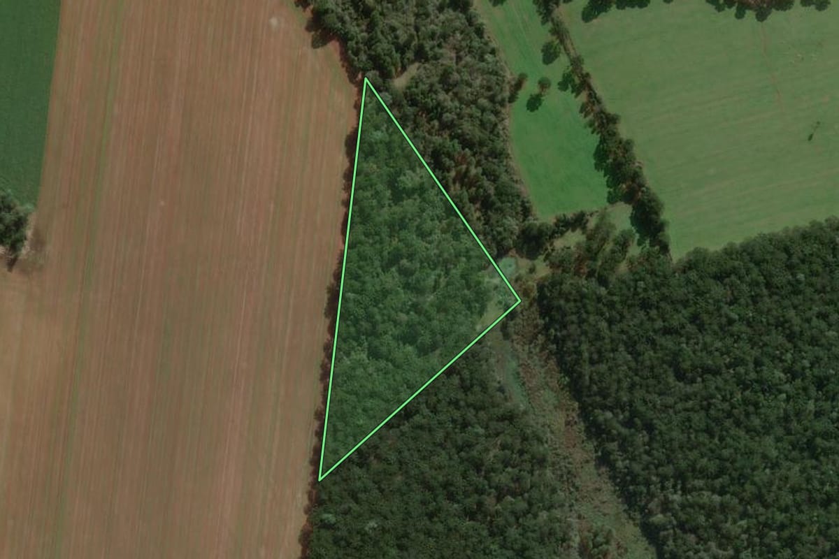 Imagem de satélite do imóvel rural em Três Barras (SC), com o contorno declarado no CAR desenhado por cima.