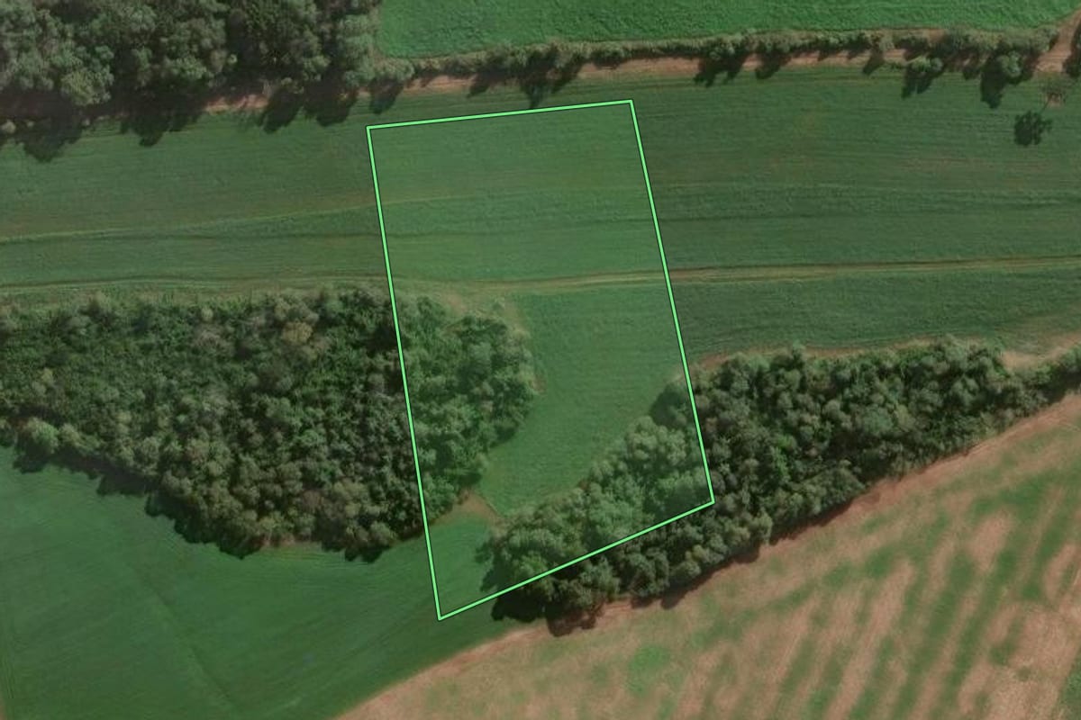 Imagem de satélite do imóvel rural em Três Barras (SC), com o contorno declarado no CAR desenhado por cima.