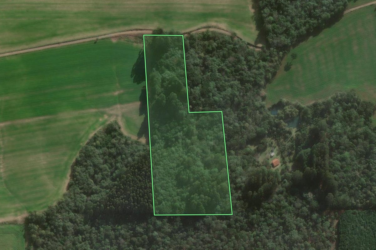 Imagem de satélite do imóvel rural em Três Barras (SC), com o contorno declarado no CAR desenhado por cima.
