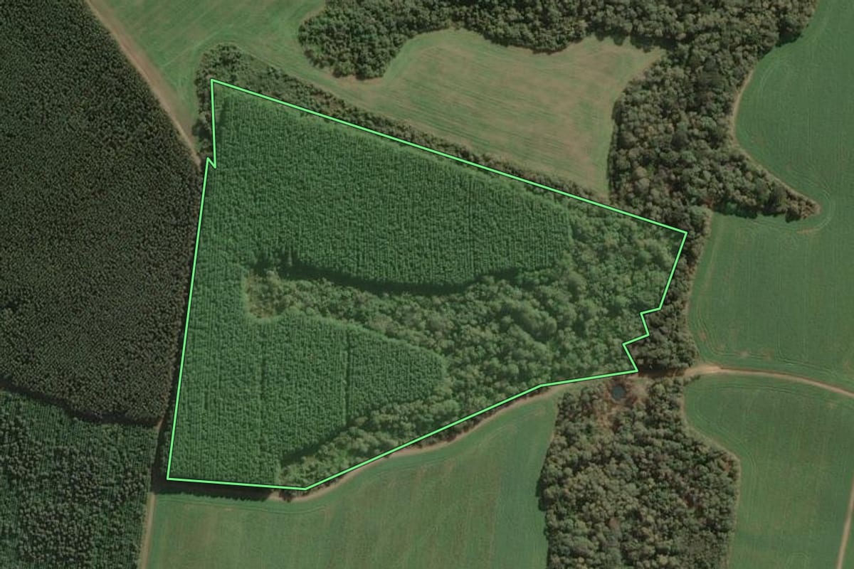 Imagem de satélite do imóvel rural em Três Barras (SC), com o contorno declarado no CAR desenhado por cima.