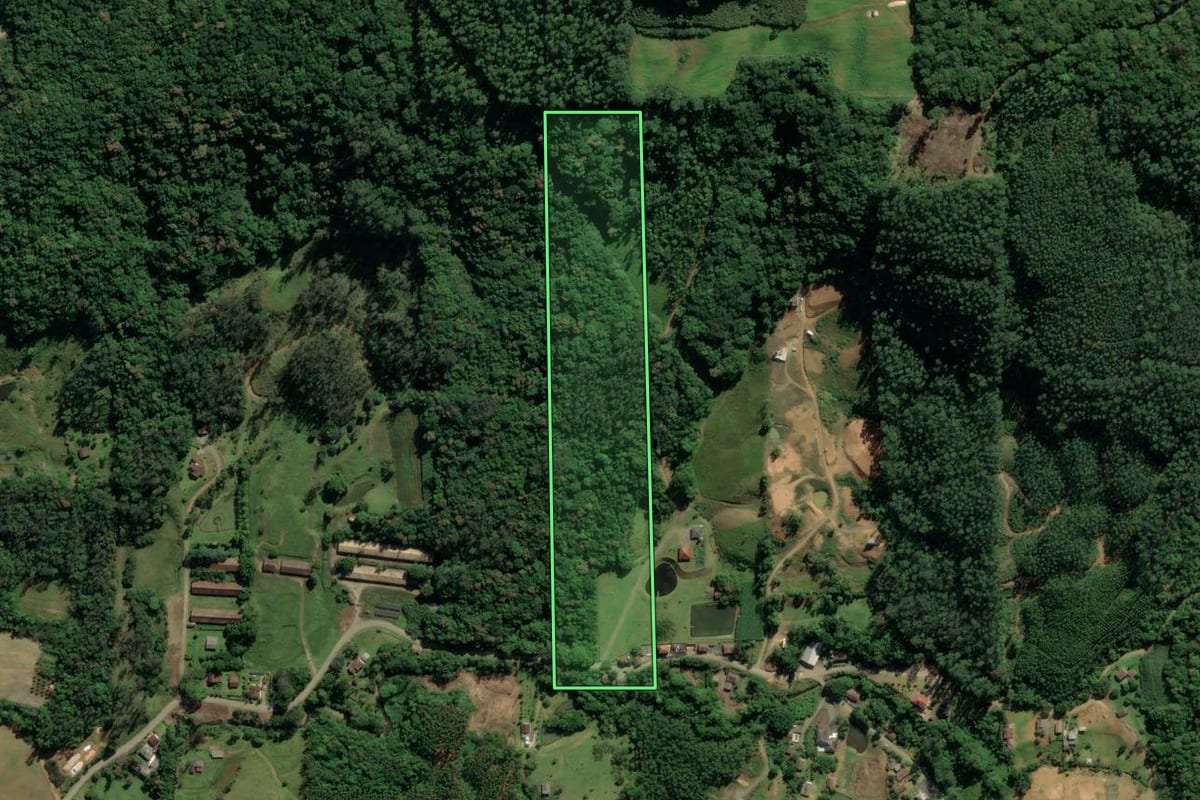 Imagem de satélite do imóvel rural em Treviso (SC), com o contorno declarado no CAR desenhado por cima.