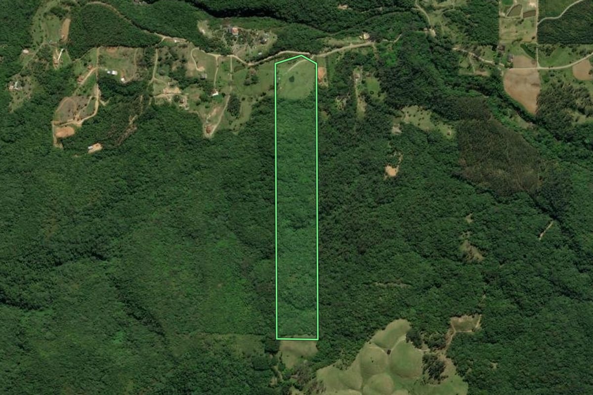 Imagem de satélite do imóvel rural em Treviso (SC), com o contorno declarado no CAR desenhado por cima.