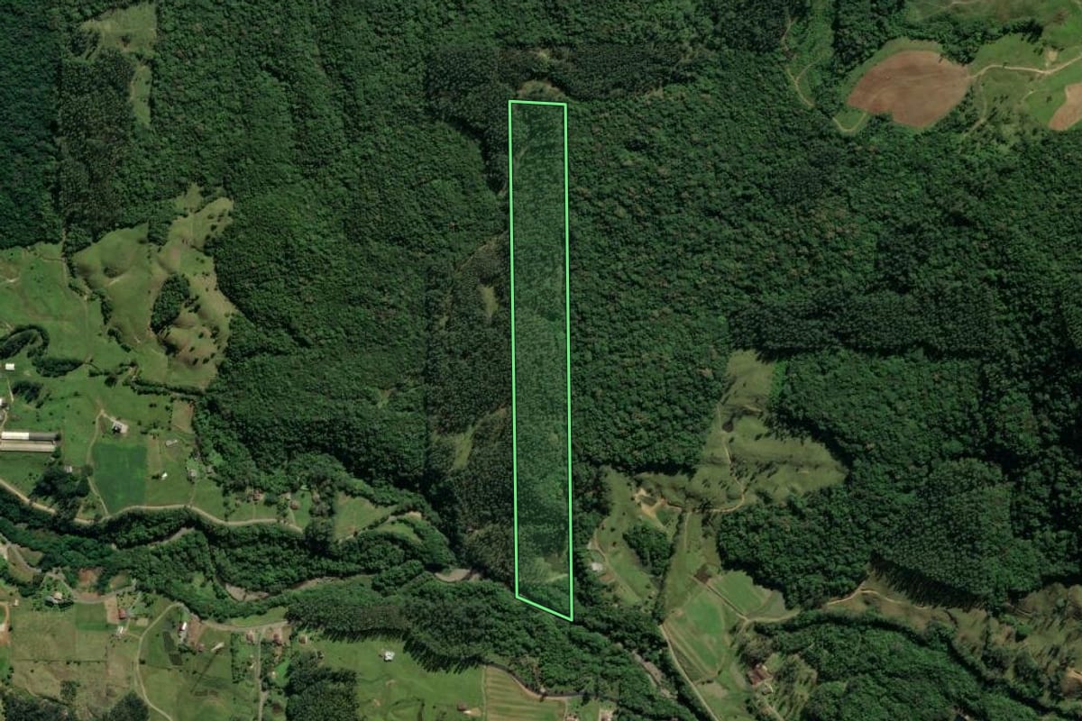 Imagem de satélite do imóvel rural em Treviso (SC), com o contorno declarado no CAR desenhado por cima.