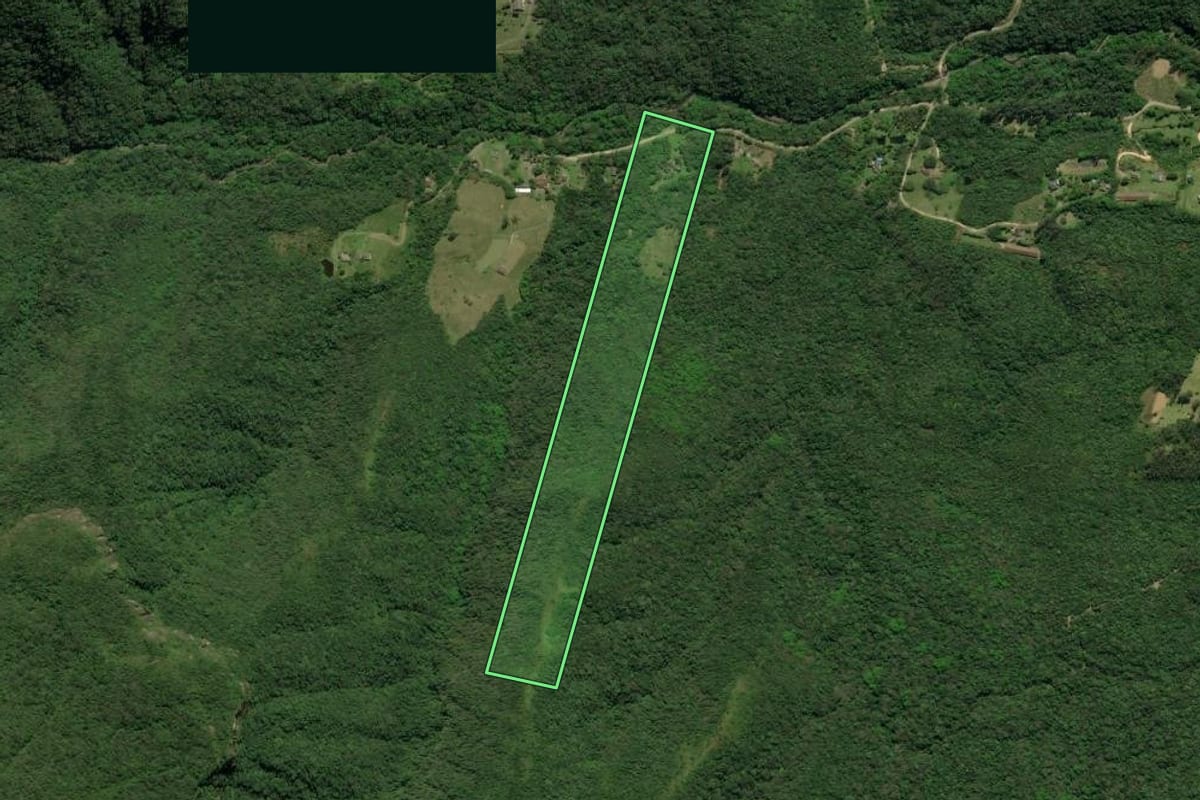 Imagem de satélite do imóvel rural em Treviso (SC), com o contorno declarado no CAR desenhado por cima.