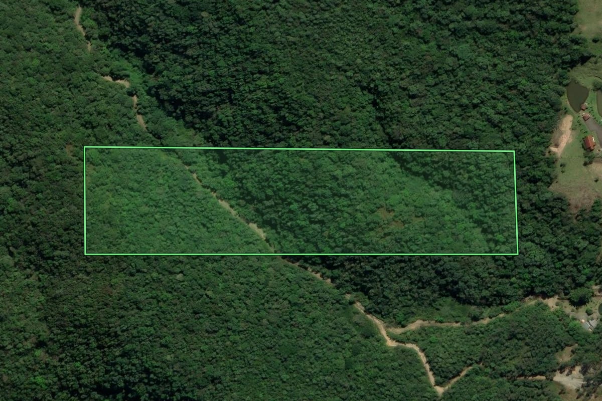 Imagem de satélite do imóvel rural em Treviso (SC), com o contorno declarado no CAR desenhado por cima.