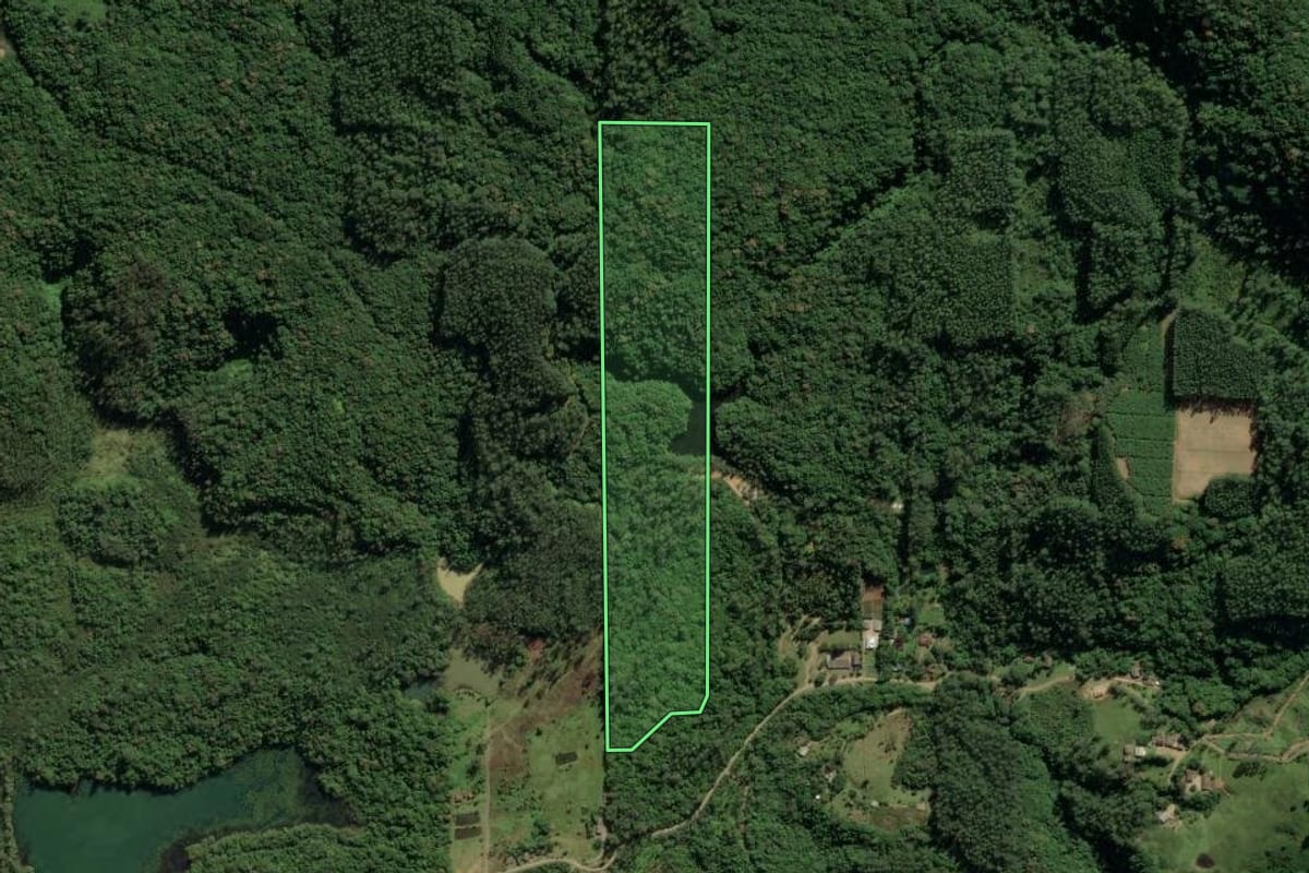 Imagem de satélite do imóvel rural em Treviso (SC), com o contorno declarado no CAR desenhado por cima.