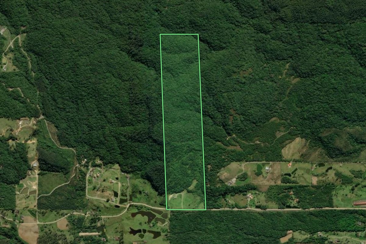 Imagem de satélite do imóvel rural em Treviso (SC), com o contorno declarado no CAR desenhado por cima.