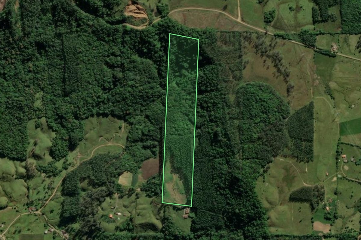 Imagem de satélite do imóvel rural em Treviso (SC), com o contorno declarado no CAR desenhado por cima.