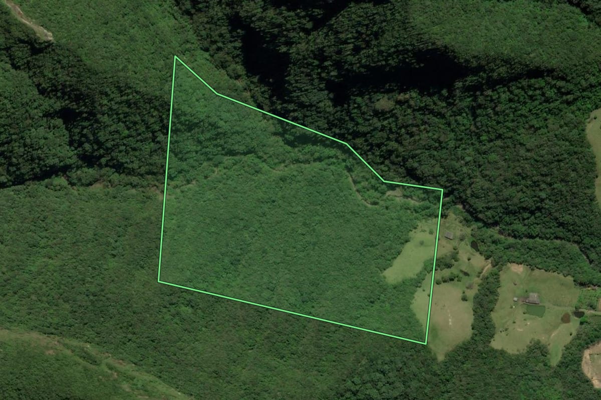 Imagem de satélite do imóvel rural em Treviso (SC), com o contorno declarado no CAR desenhado por cima.