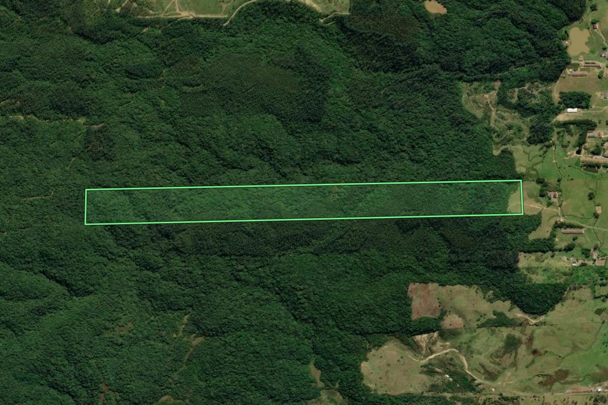 Imagem de satélite do imóvel rural em Treviso (SC), com o contorno declarado no CAR desenhado por cima.