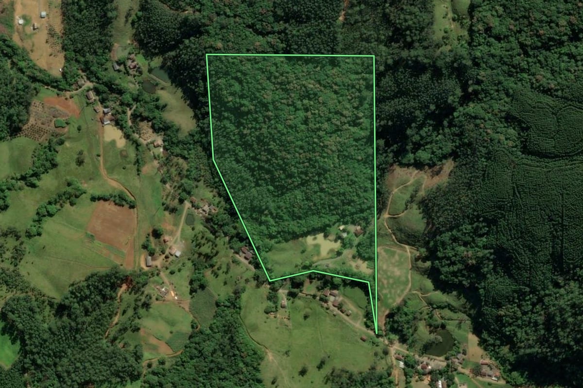 Imagem de satélite do imóvel rural em Treviso (SC), com o contorno declarado no CAR desenhado por cima.