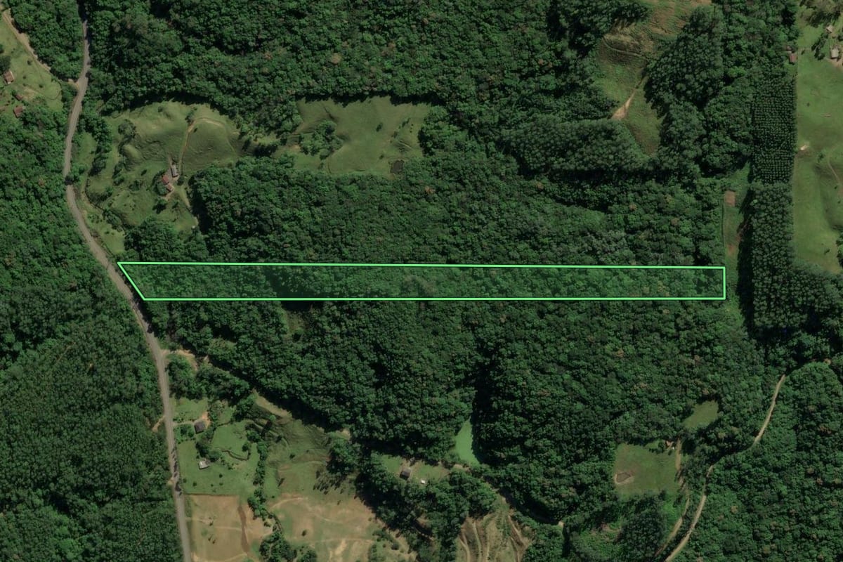 Imagem de satélite do imóvel rural em Treviso (SC), com o contorno declarado no CAR desenhado por cima.