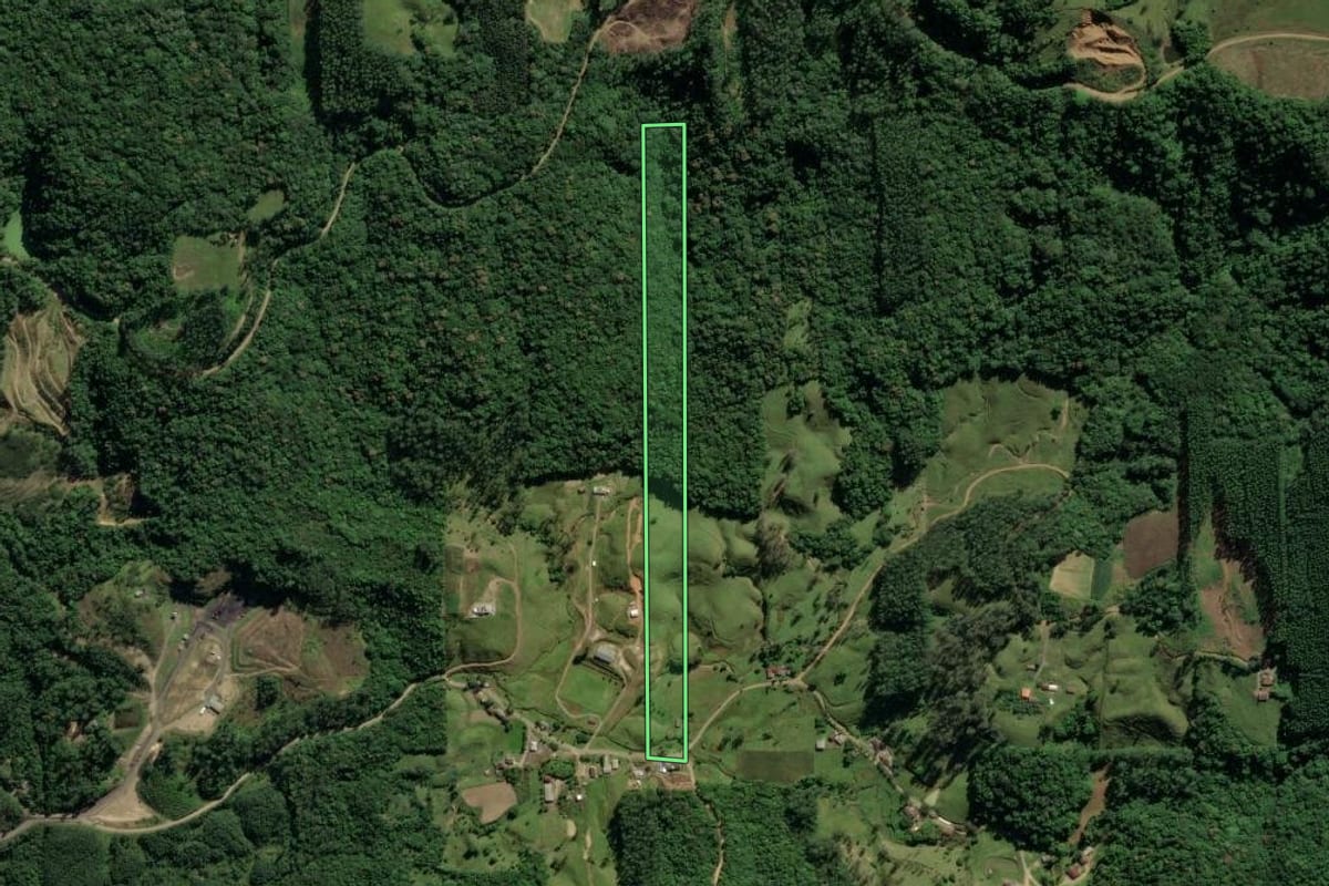 Imagem de satélite do imóvel rural em Treviso (SC), com o contorno declarado no CAR desenhado por cima.