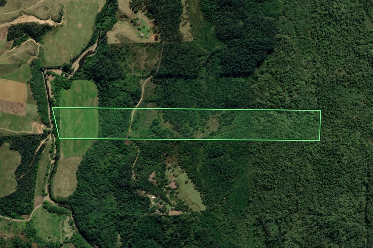 Imagem de satélite do imóvel rural em Treviso (SC), com o contorno declarado no CAR desenhado por cima.