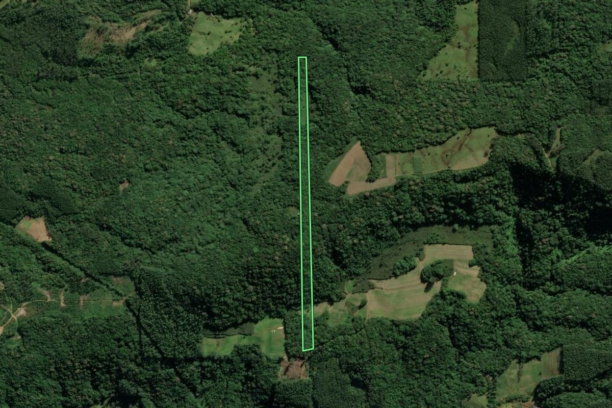 Imagem de satélite do imóvel rural em Treviso (SC), com o contorno declarado no CAR desenhado por cima.