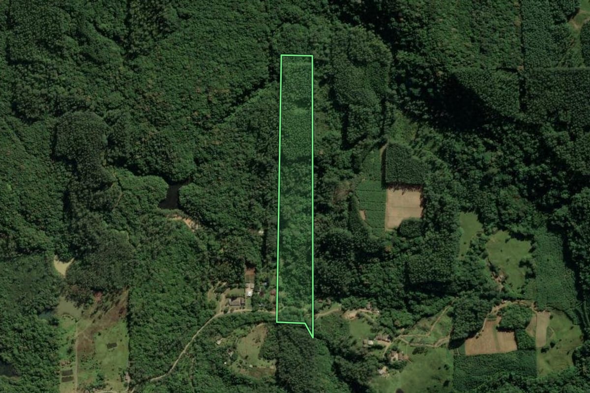 Imagem de satélite do imóvel rural em Treviso (SC), com o contorno declarado no CAR desenhado por cima.