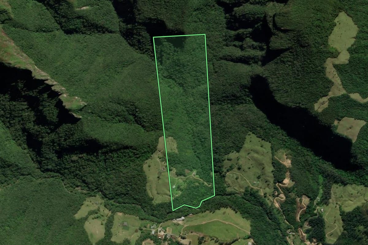 Imagem de satélite do imóvel rural em Treviso (SC), com o contorno declarado no CAR desenhado por cima.