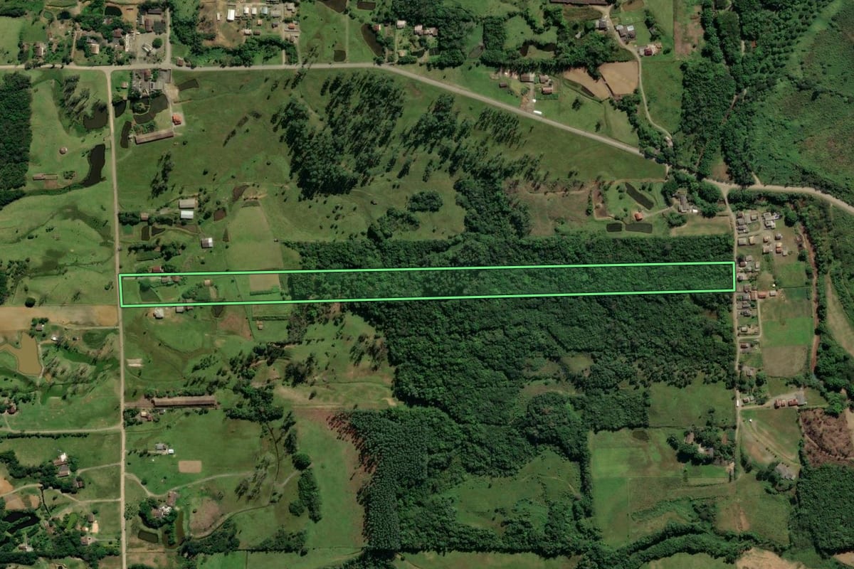 Imagem de satélite do imóvel rural em Treviso (SC), com o contorno declarado no CAR desenhado por cima.