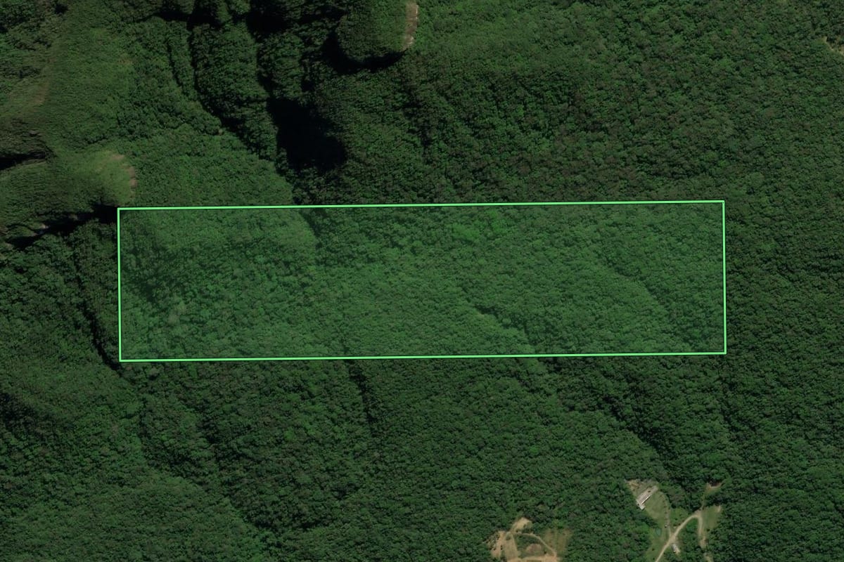 Imagem de satélite do imóvel rural em Treviso (SC), com o contorno declarado no CAR desenhado por cima.