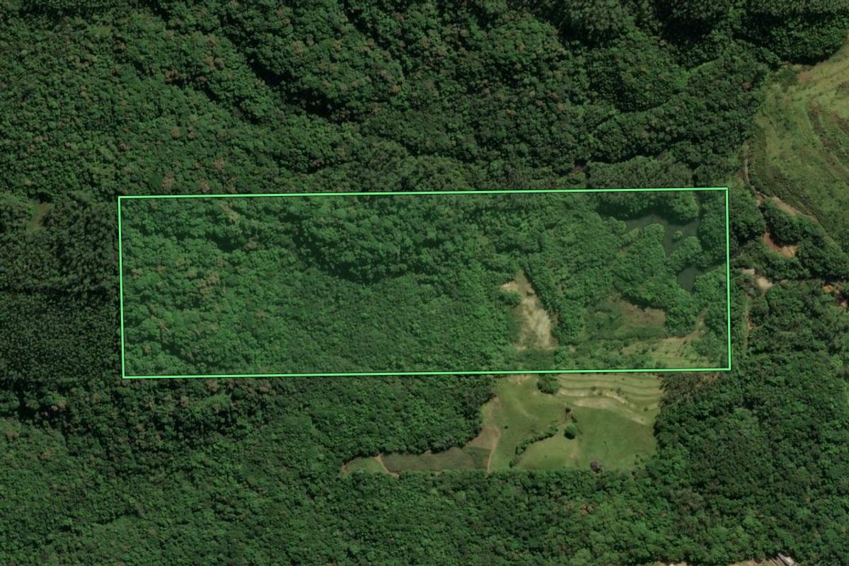 Imagem de satélite do imóvel rural em Treviso (SC), com o contorno declarado no CAR desenhado por cima.