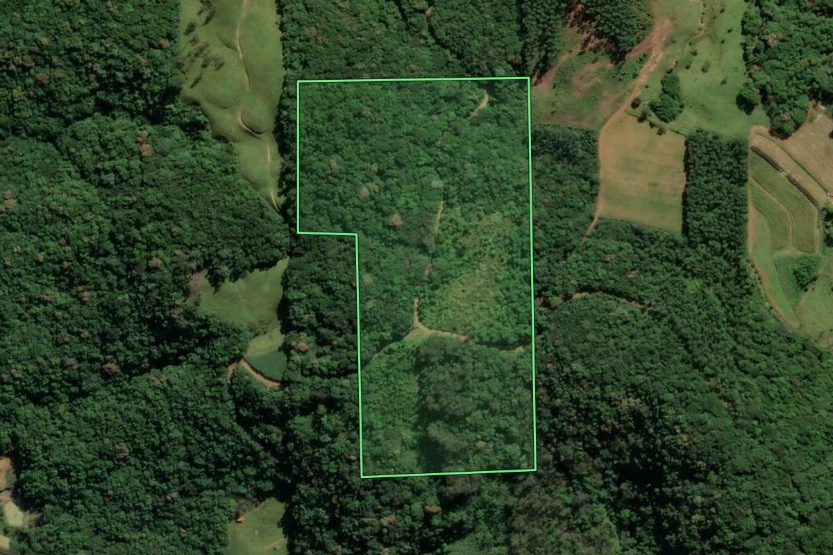 Imagem de satélite do imóvel rural em Treviso (SC), com o contorno declarado no CAR desenhado por cima.
