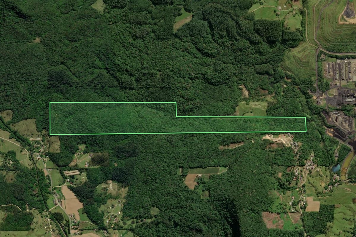 Imagem de satélite do imóvel rural em Treviso (SC), com o contorno declarado no CAR desenhado por cima.