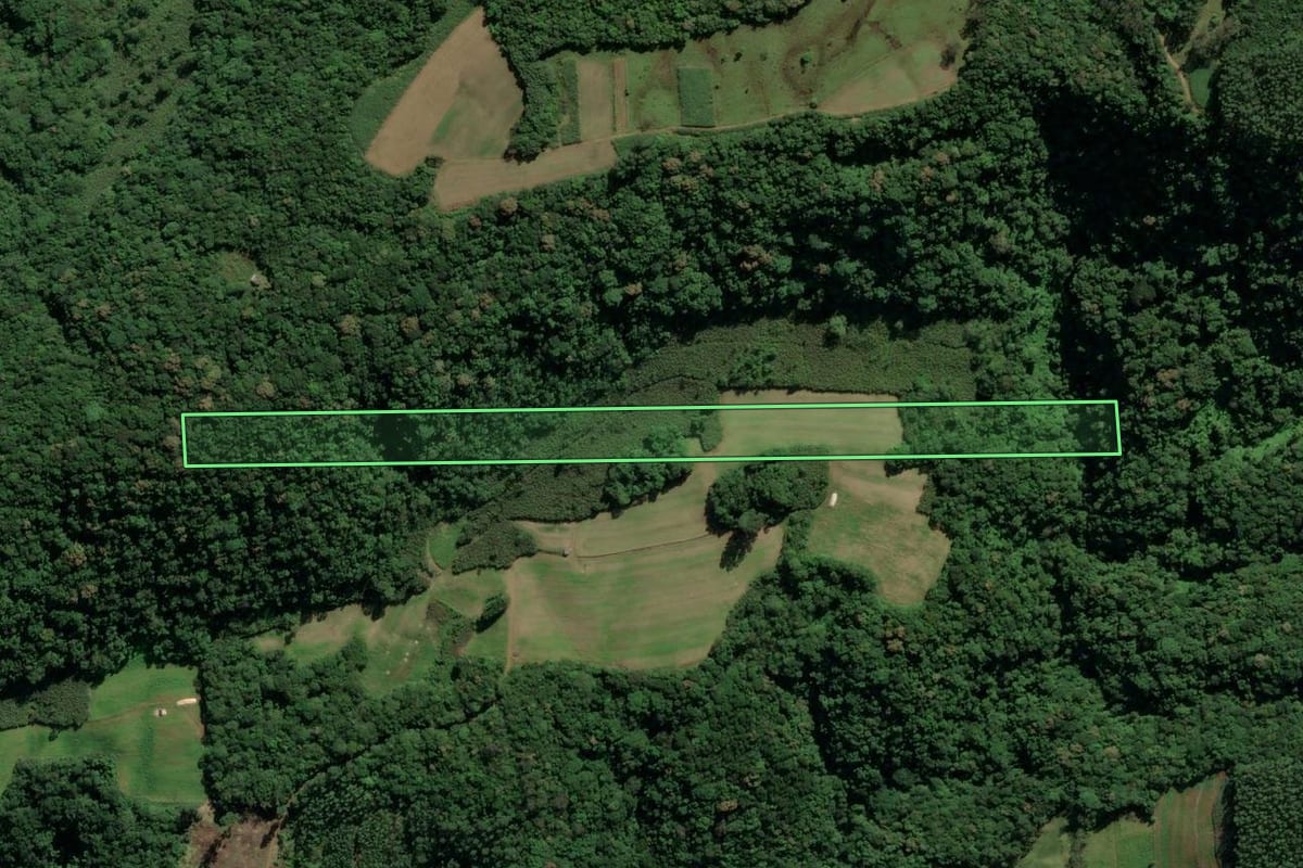 Imagem de satélite do imóvel rural em Treviso (SC), com o contorno declarado no CAR desenhado por cima.