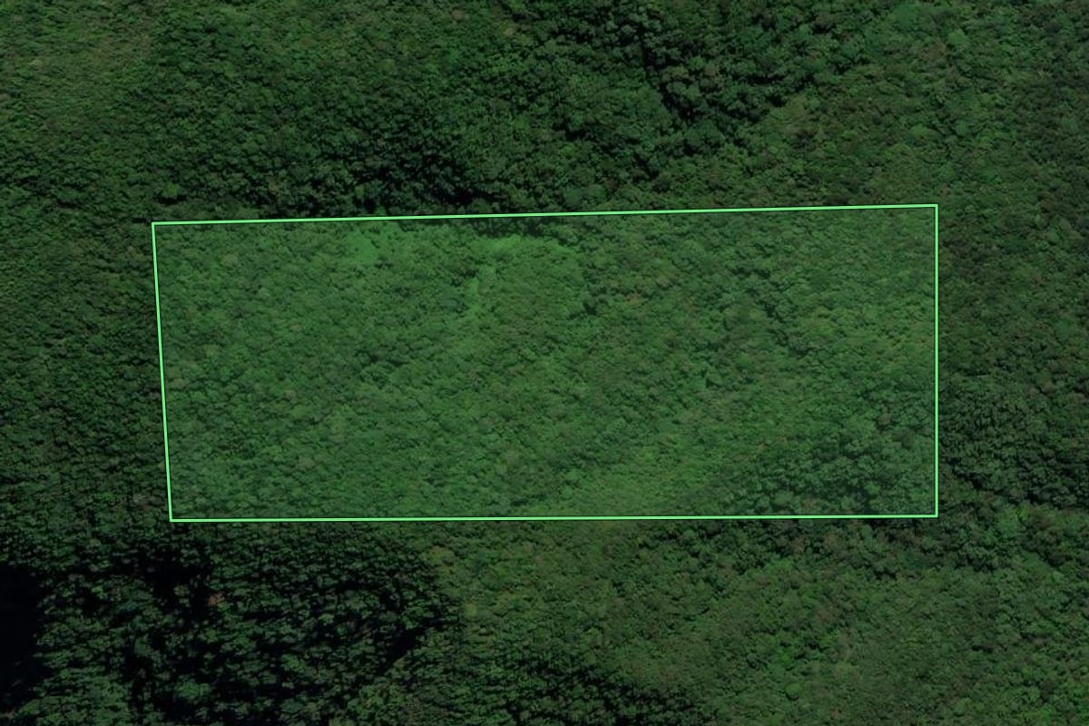 Imagem de satélite do imóvel rural em Treviso (SC), com o contorno declarado no CAR desenhado por cima.