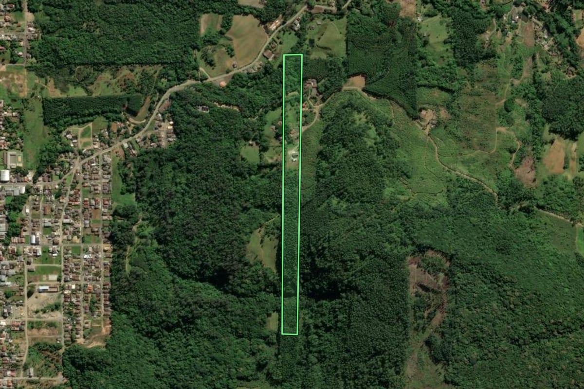 Imagem de satélite do imóvel rural em Treviso (SC), com o contorno declarado no CAR desenhado por cima.