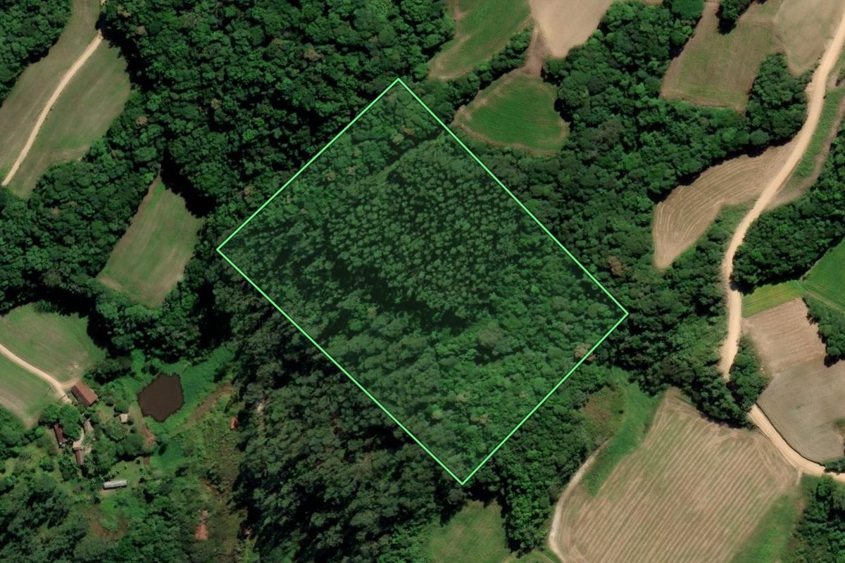 Imagem de satélite do imóvel rural em Treze de Maio (SC), com o contorno declarado no CAR desenhado por cima.