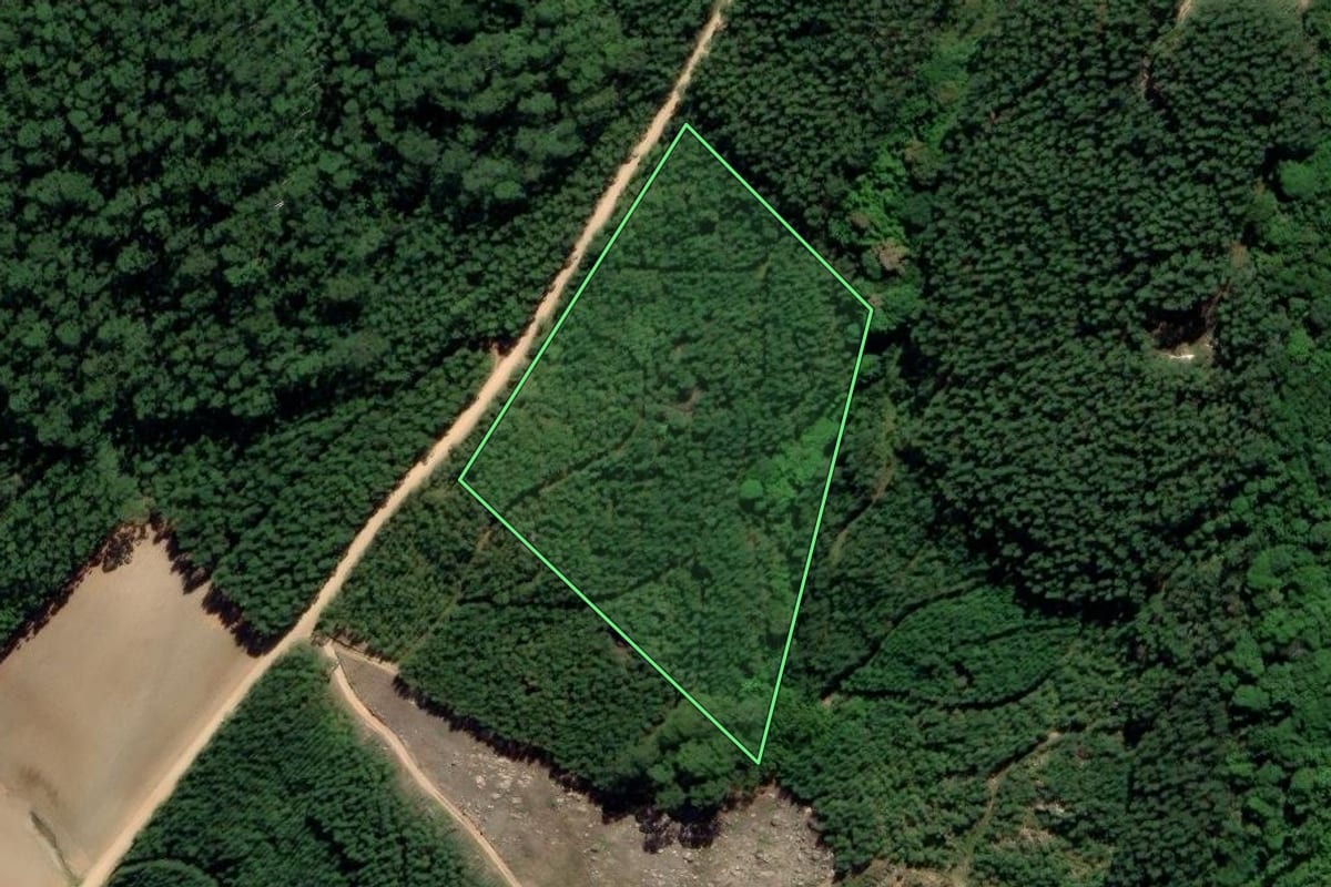 Imagem de satélite do imóvel rural em Treze de Maio (SC), com o contorno declarado no CAR desenhado por cima.