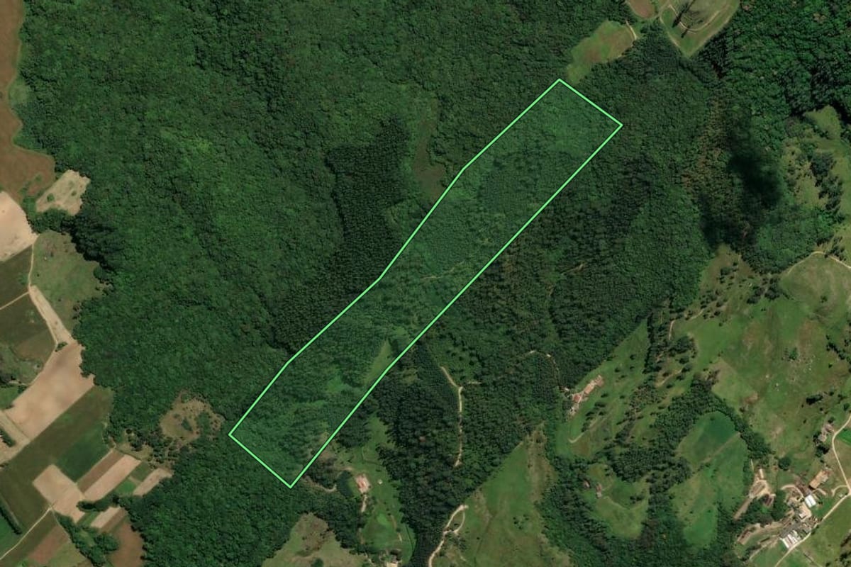 Imagem de satélite do imóvel rural em Treze de Maio (SC), com o contorno declarado no CAR desenhado por cima.