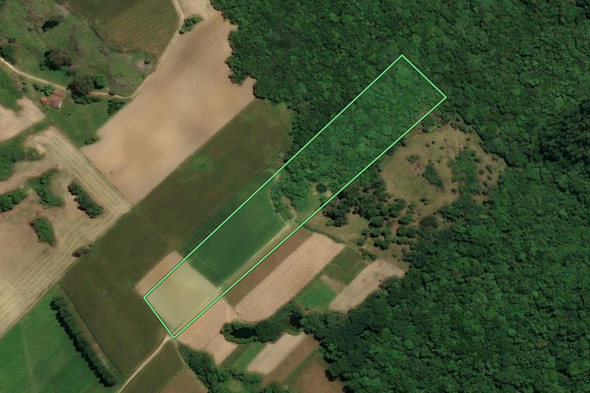 Imagem de satélite do imóvel rural em Treze de Maio (SC), com o contorno declarado no CAR desenhado por cima.