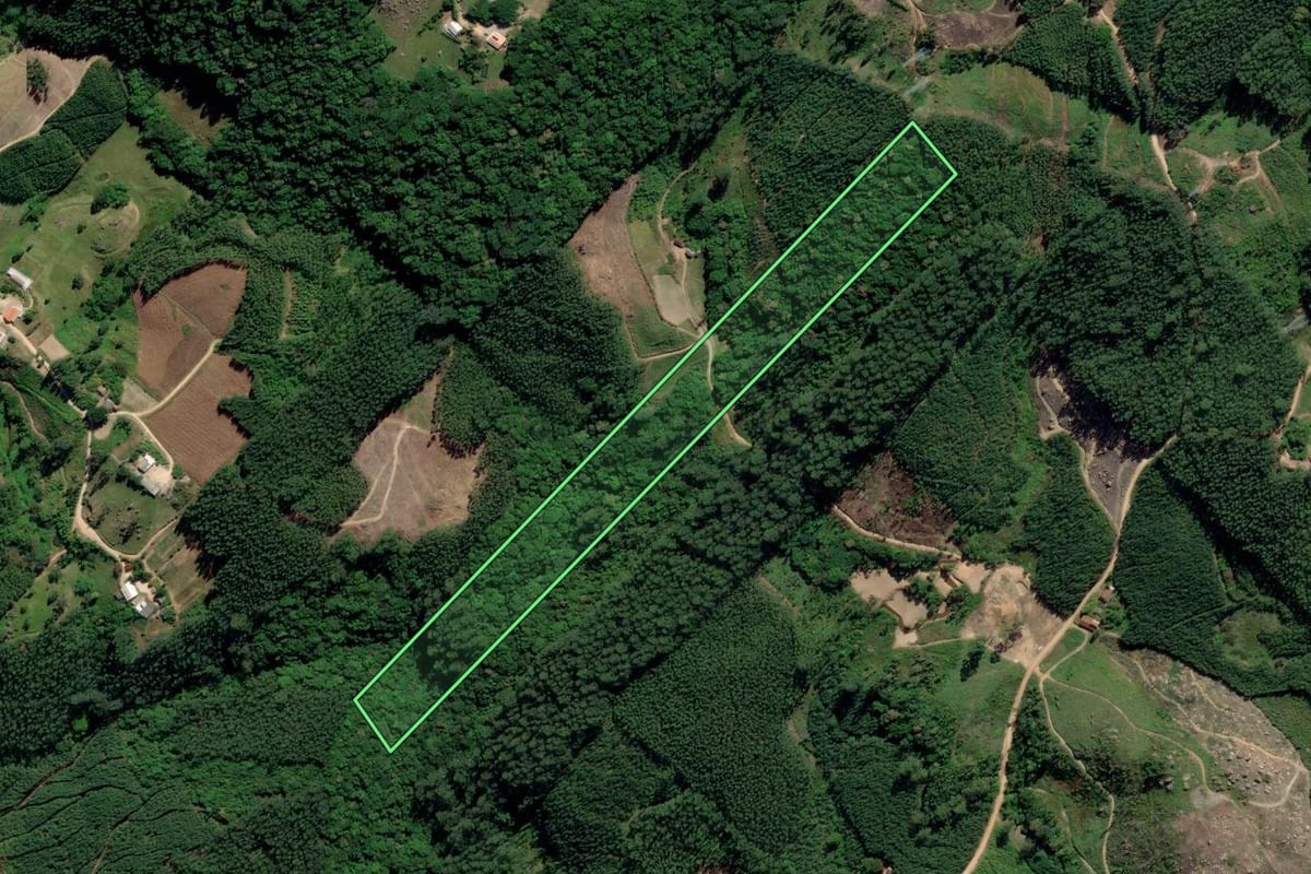 Imagem de satélite do imóvel rural em Treze de Maio (SC), com o contorno declarado no CAR desenhado por cima.