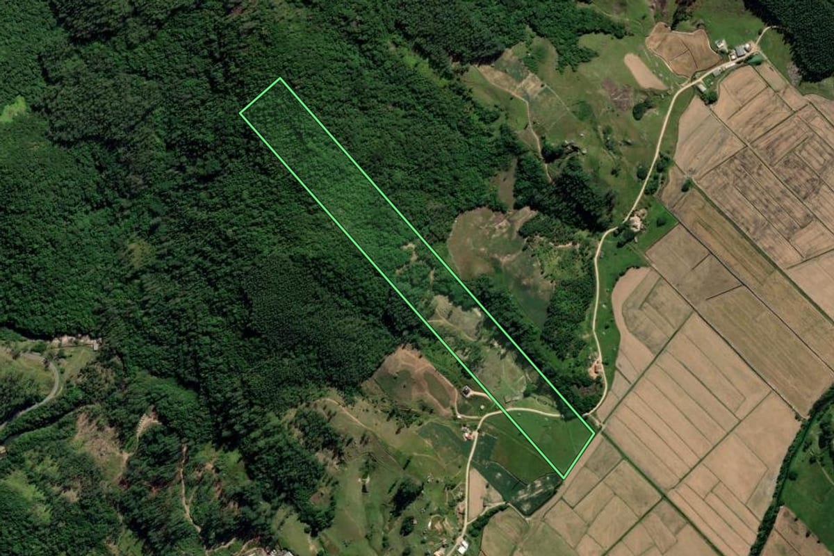 Imagem de satélite do imóvel rural em Treze de Maio (SC), com o contorno declarado no CAR desenhado por cima.