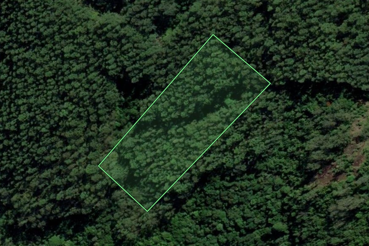 Imagem de satélite do imóvel rural em Treze de Maio (SC), com o contorno declarado no CAR desenhado por cima.
