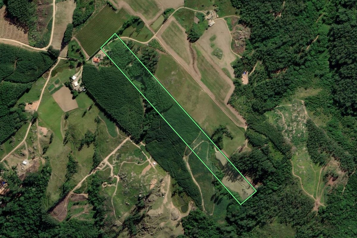 Imagem de satélite do imóvel rural em Treze de Maio (SC), com o contorno declarado no CAR desenhado por cima.