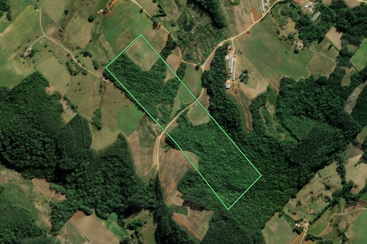 Imagem de satélite do imóvel rural em Treze de Maio (SC), com o contorno declarado no CAR desenhado por cima.