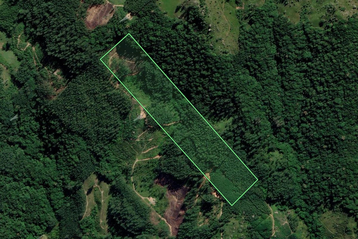 Imagem de satélite do imóvel rural em Treze de Maio (SC), com o contorno declarado no CAR desenhado por cima.