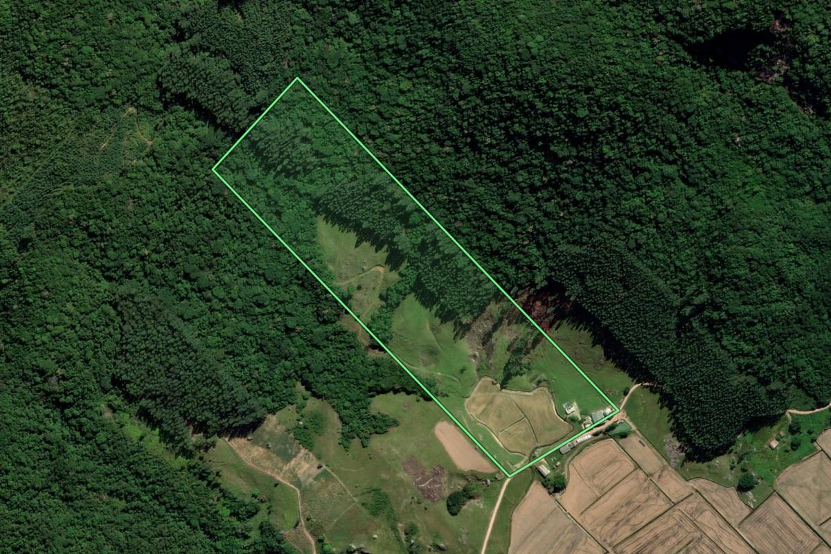 Imagem de satélite do imóvel rural em Treze de Maio (SC), com o contorno declarado no CAR desenhado por cima.
