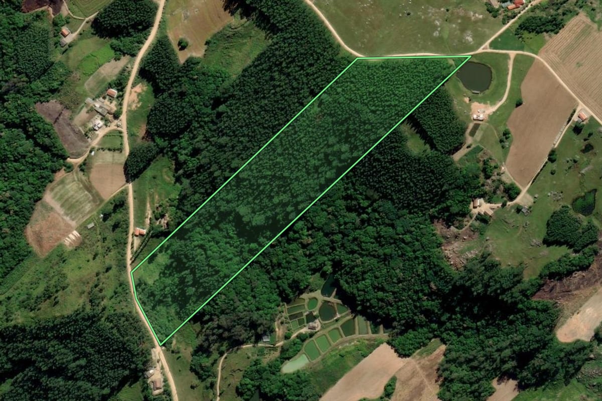 Imagem de satélite do imóvel rural em Treze de Maio (SC), com o contorno declarado no CAR desenhado por cima.