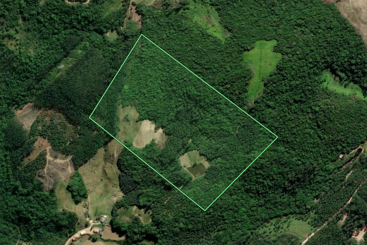 Imagem de satélite do imóvel rural em Treze de Maio (SC), com o contorno declarado no CAR desenhado por cima.