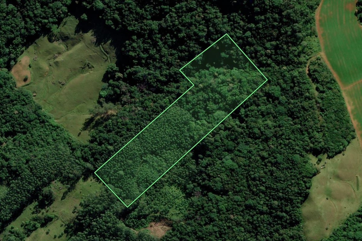Imagem de satélite do imóvel rural em Treze de Maio (SC), com o contorno declarado no CAR desenhado por cima.