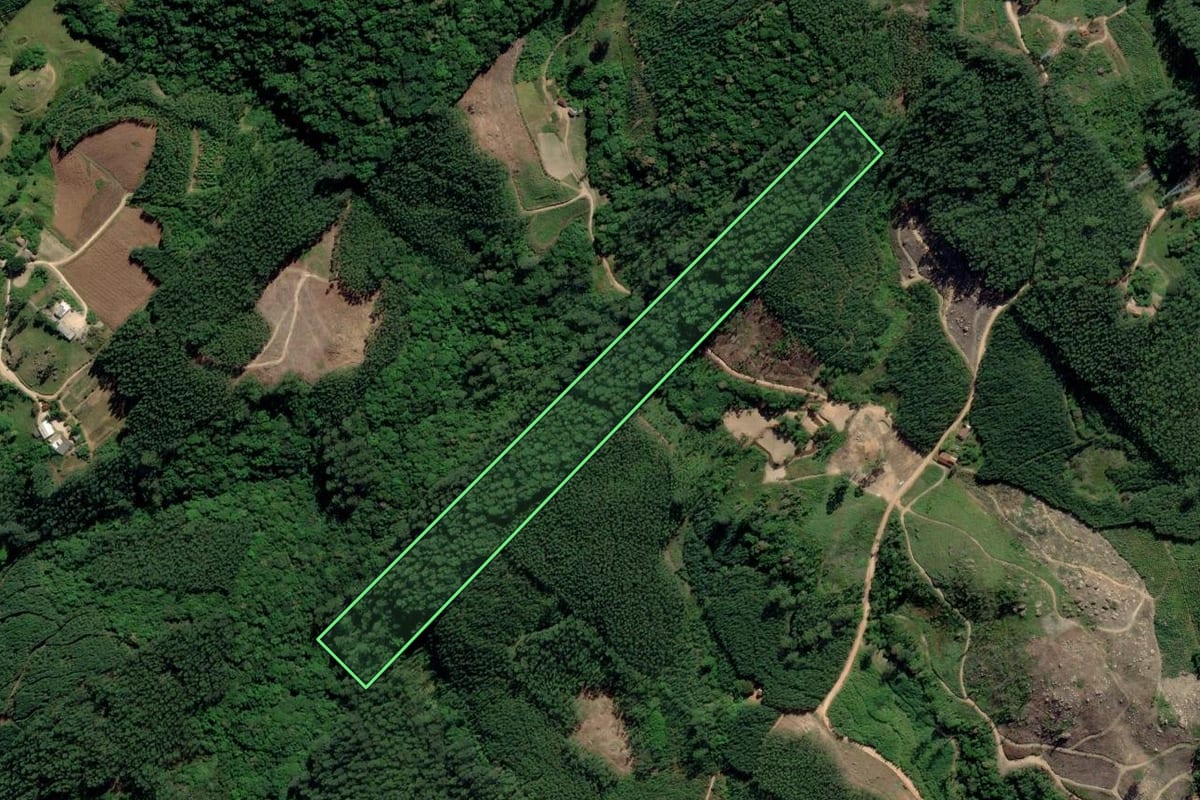 Imagem de satélite do imóvel rural em Treze de Maio (SC), com o contorno declarado no CAR desenhado por cima.