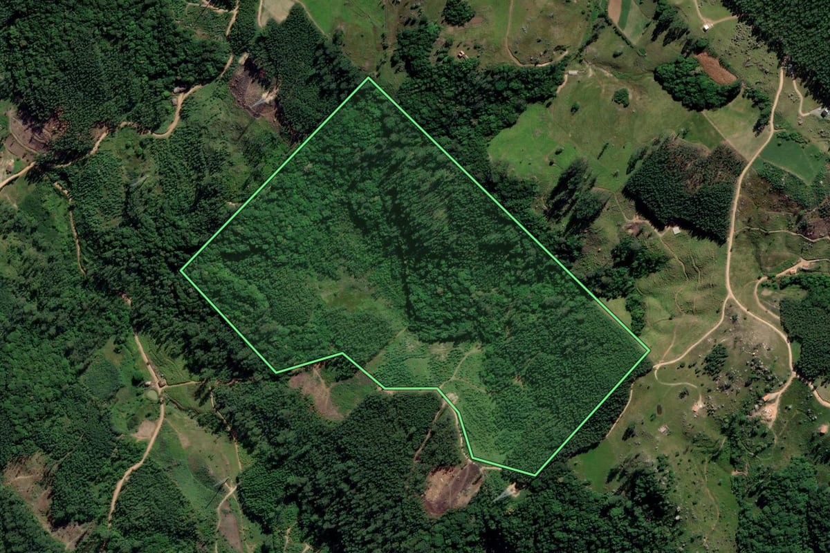 Imagem de satélite do imóvel rural em Treze de Maio (SC), com o contorno declarado no CAR desenhado por cima.