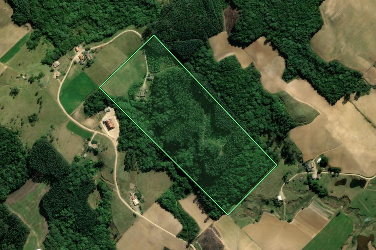 Imagem de satélite do imóvel rural em Treze de Maio (SC), com o contorno declarado no CAR desenhado por cima.