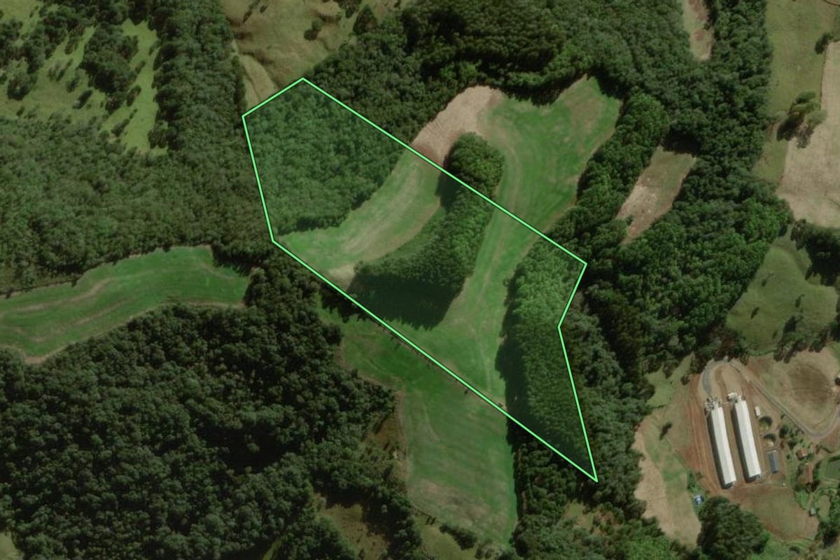 Imagem de satélite do imóvel rural em Treze Tílias (SC), com o contorno declarado no CAR desenhado por cima.