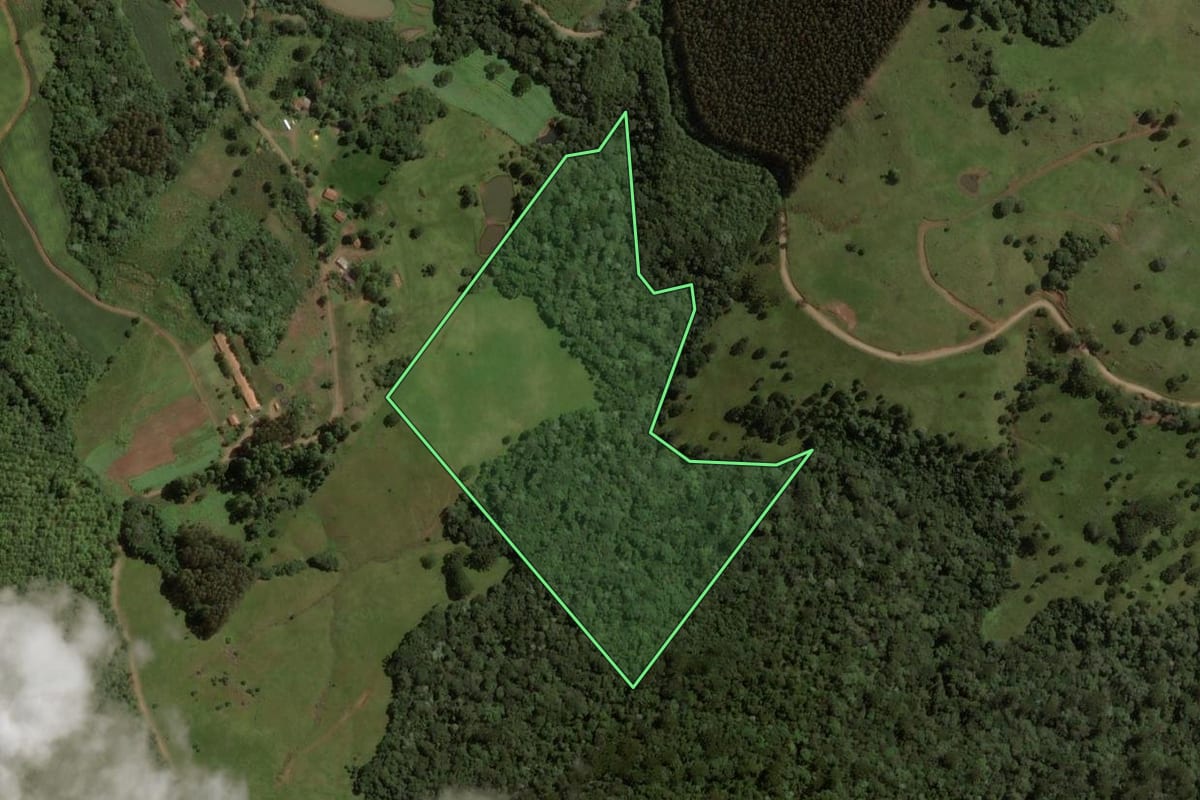 Imagem de satélite do imóvel rural em Treze Tílias (SC), com o contorno declarado no CAR desenhado por cima.